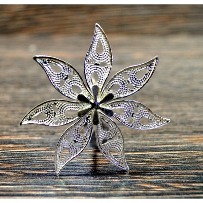 گل نقره - silver flower