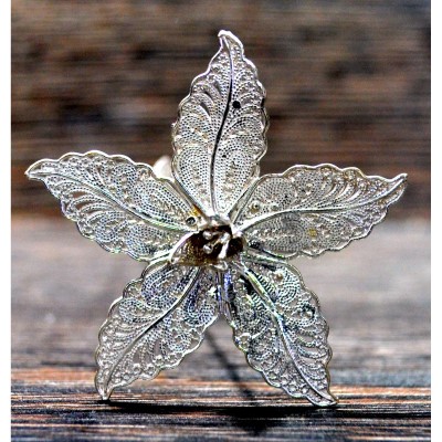 silver flower - گل نقره