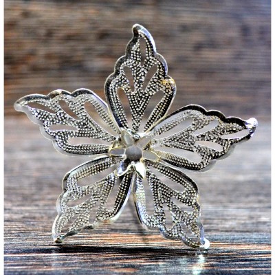 گل نقره - silver flower