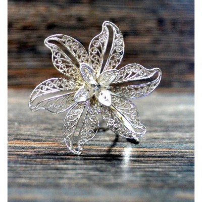 silver flower - گل نقره